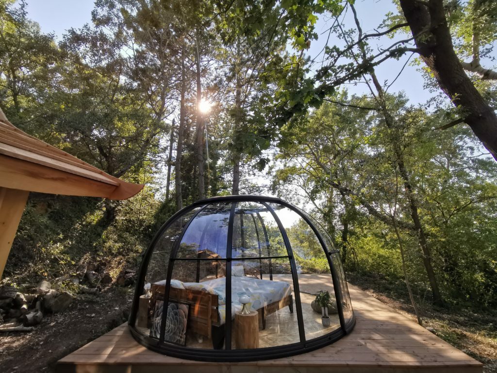 Bulle transparente Olea au milieu de la foret
