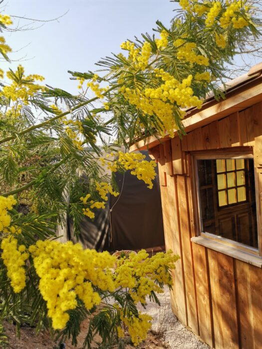 bulle provence,dormir dans une bulle