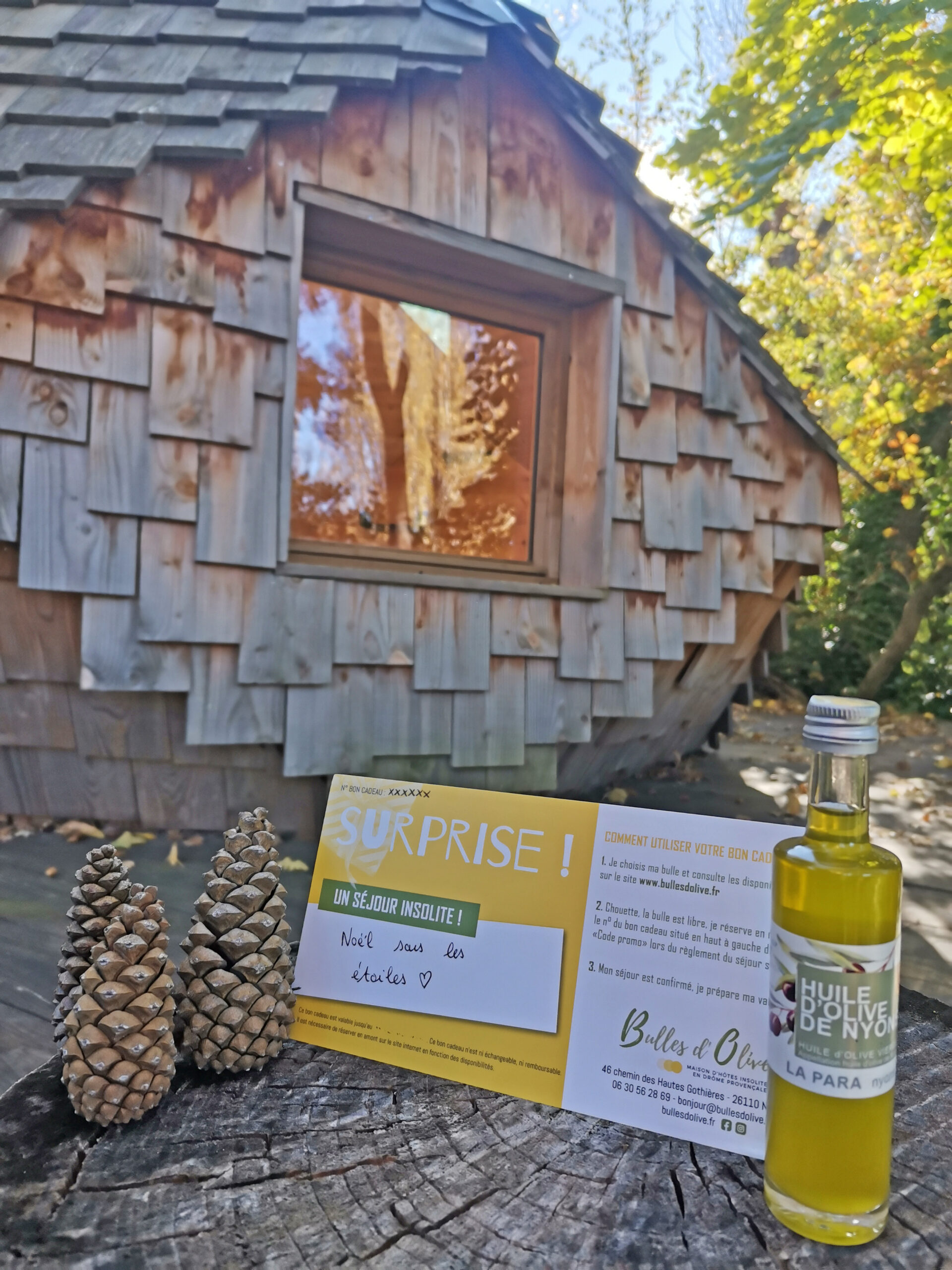 Idée cadeau Noël : offrez un bon cadeau pour dormir dans une bulle