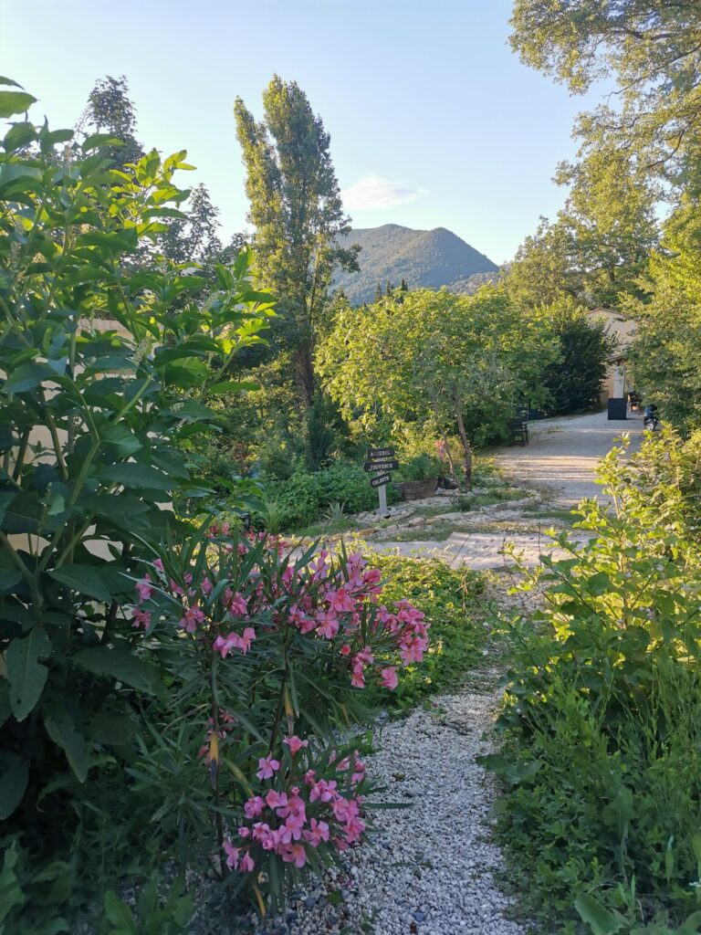 Nature Bulles d'Olive : offrir une escapade dans la Drôme