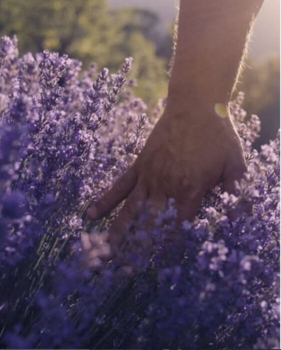 idées cadeaux Drôme Vaucluse