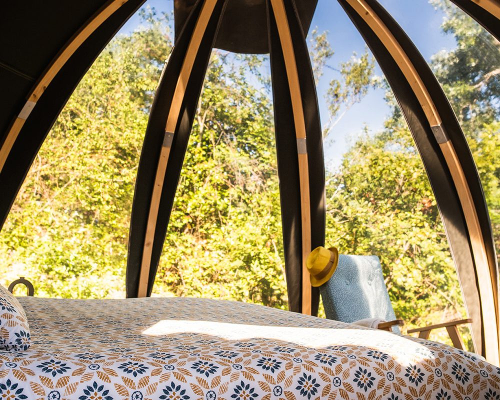 106 Provence - Bulles d'Olive © Camille Arnaud banner