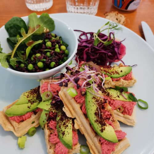 Le Paradisier Nyons (2)